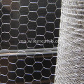 Galvanized Hexagpnal Rabbit Wire